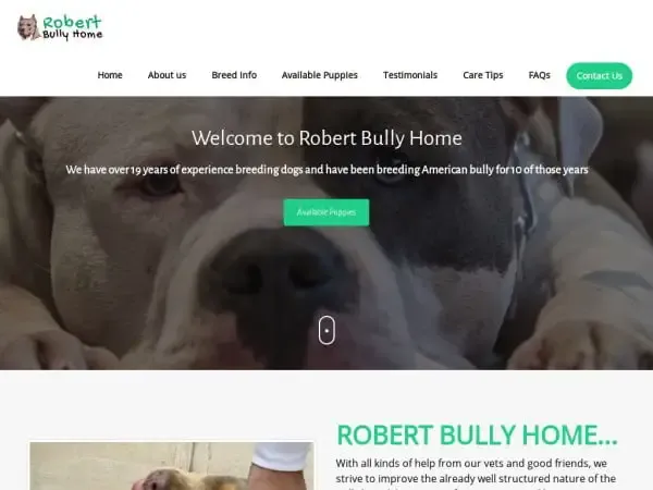 Screenshot of