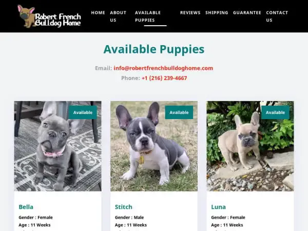 Screenshot of