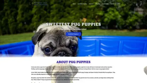 Screenshot of