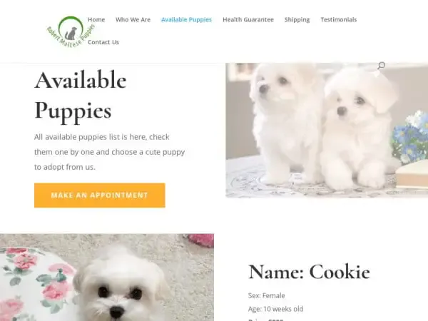 Screenshot of