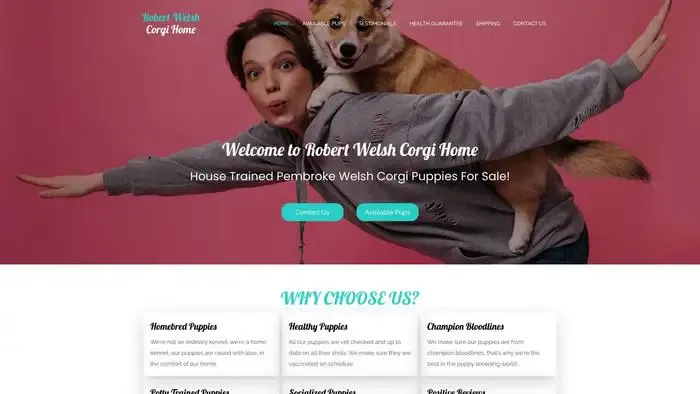 Screenshot of