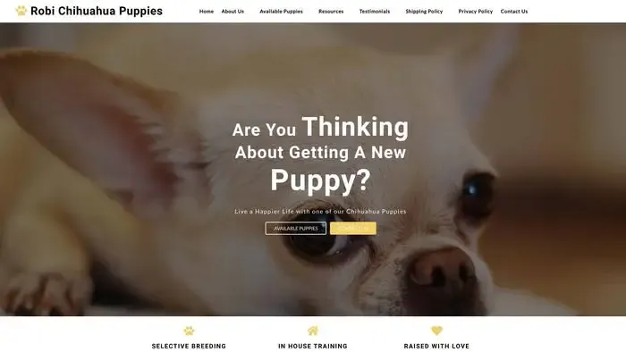 Screenshot of