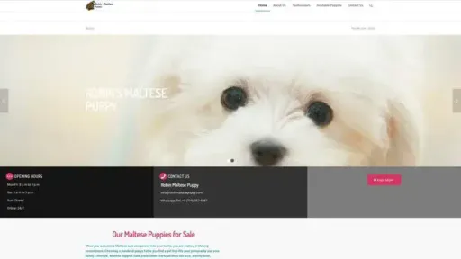 Screenshot of