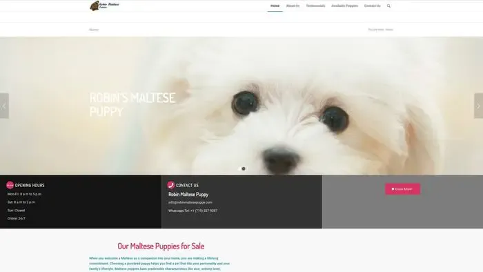 Screenshot of