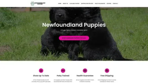 Screenshot of