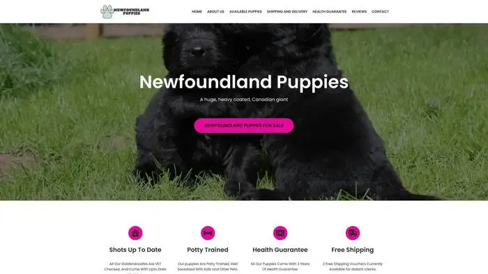 Screenshot of