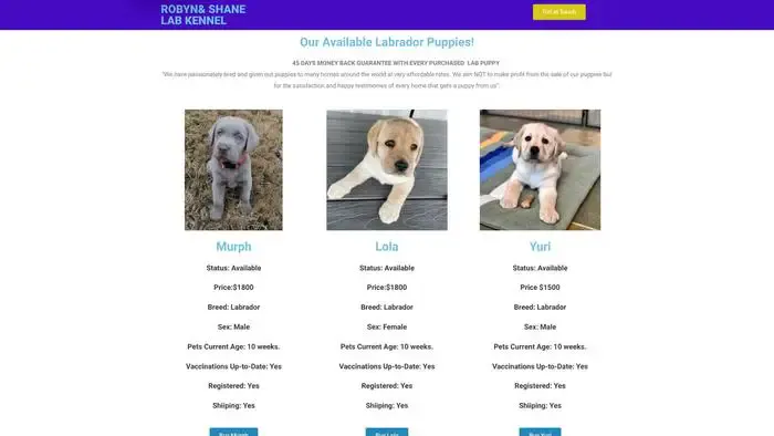 Screenshot of