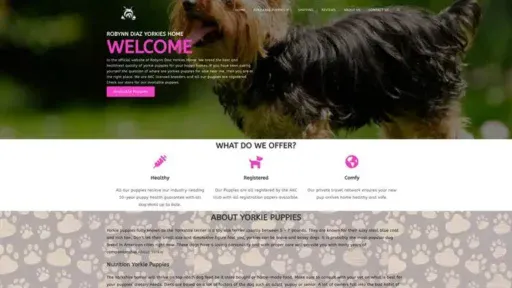 Screenshot of