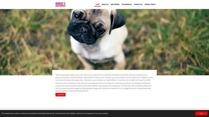 Screenshot of