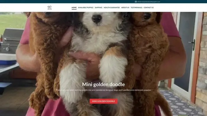 Screenshot of