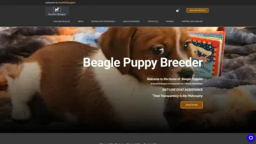 Screenshot of