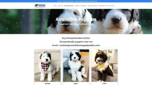 Screenshot of