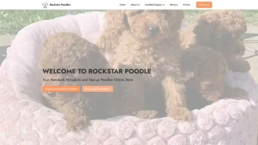 Screenshot of||