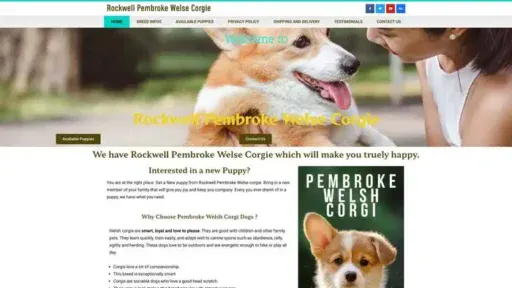 Screenshot of