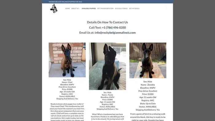 Screenshot of