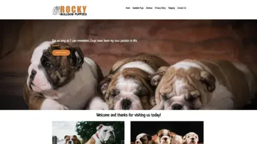 Screenshot of
