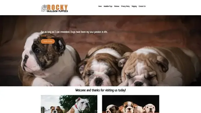 Screenshot of