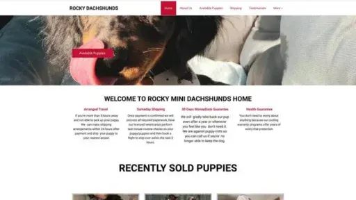 Screenshot of
