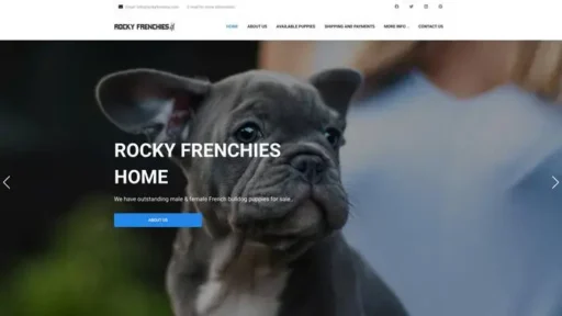 Screenshot of