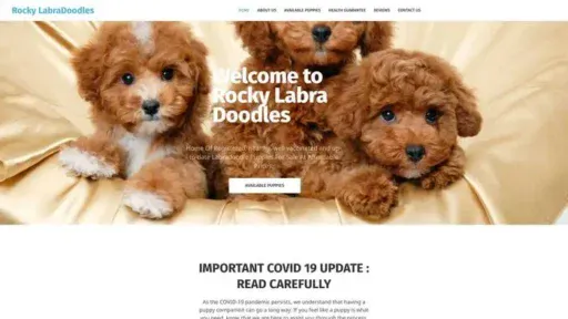 Screenshot of