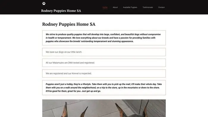 Screenshot of
