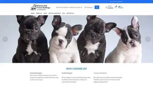 Screenshot of