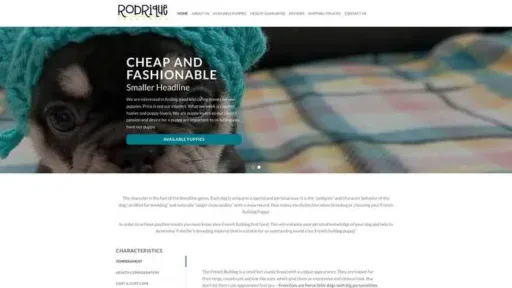 Screenshot of