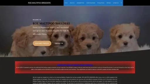 Screenshot of