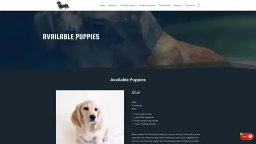 Screenshot of