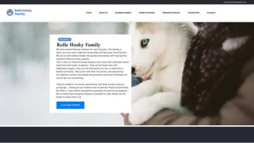 Screenshot of