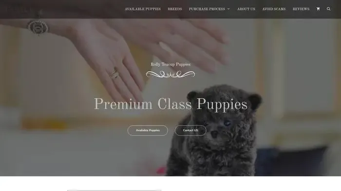 Screenshot of