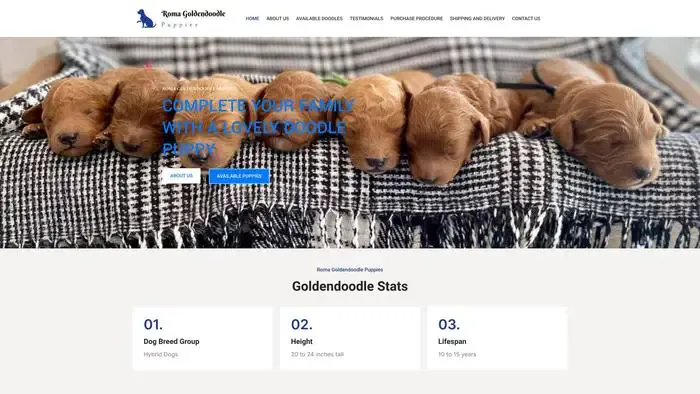 Screenshot of