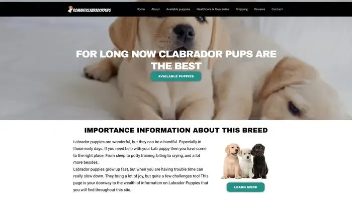 Screenshot of