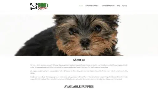 Screenshot of
