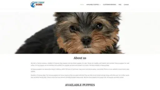 Screenshot of
