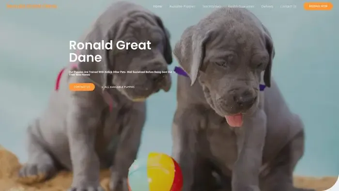 Screenshot of