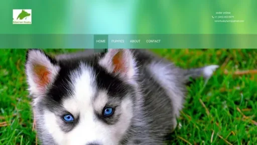 Screenshot of