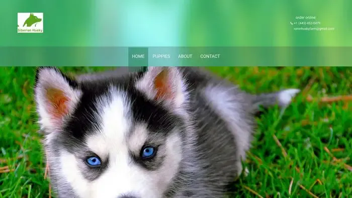 Screenshot of