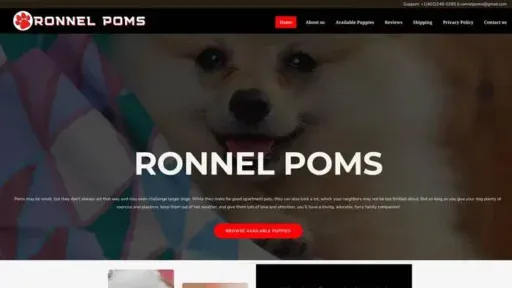 Screenshot of