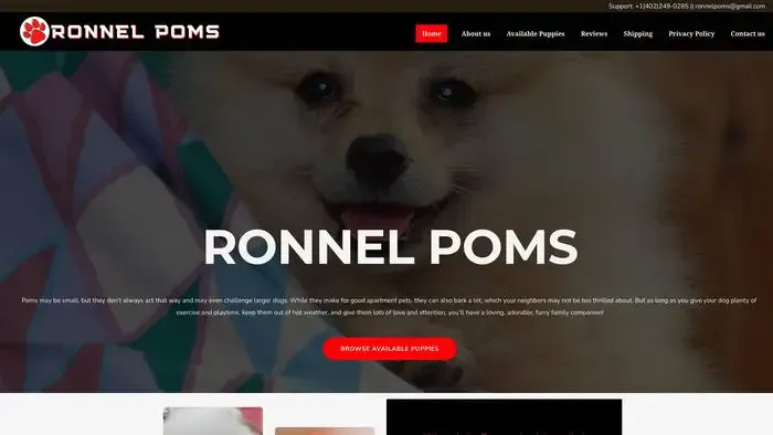 Screenshot of
