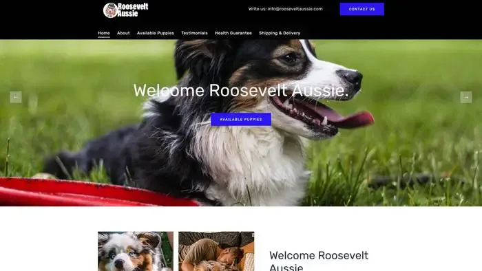 Screenshot of