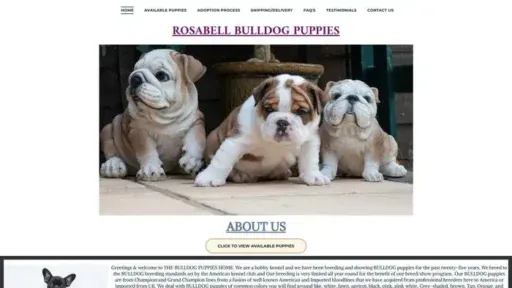 Screenshot of
