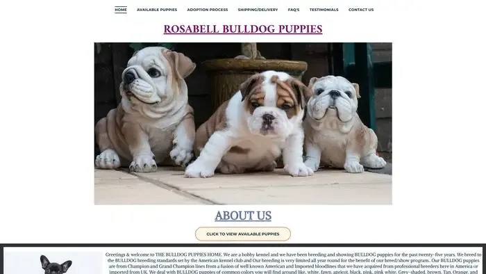 Screenshot of