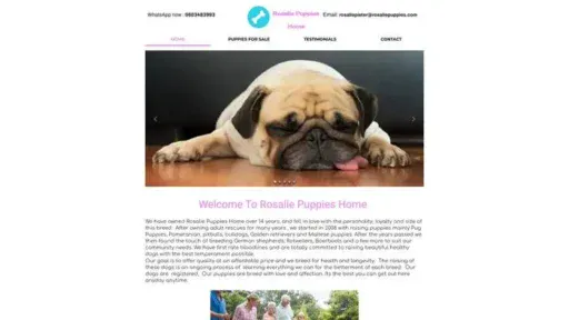 Screenshot of