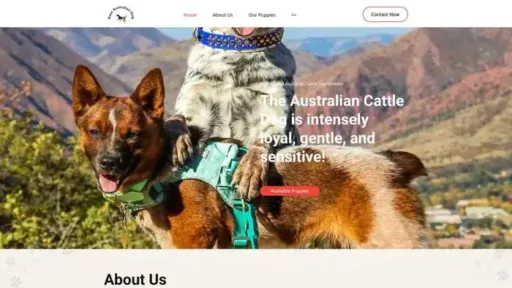 Screenshot of|