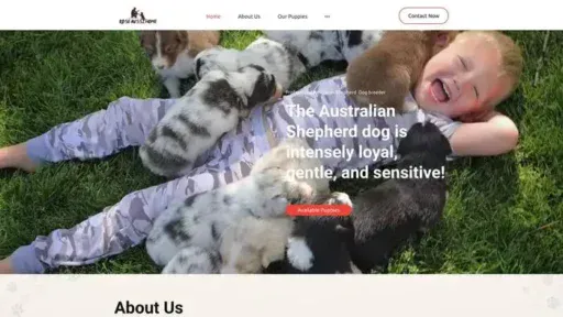Screenshot of