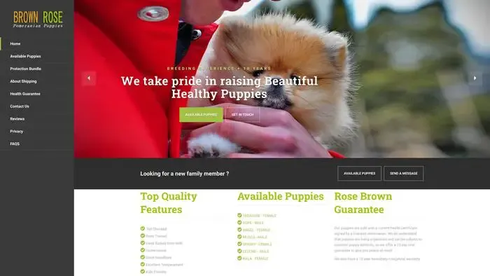 Screenshot of