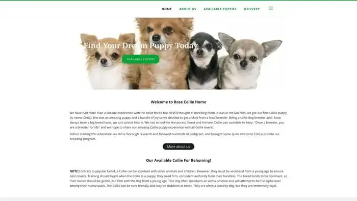 Screenshot of
