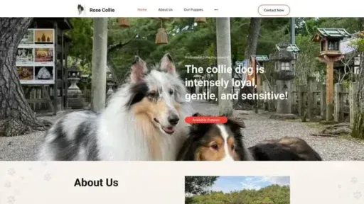 Screenshot of
