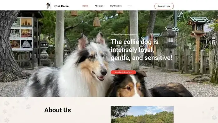 Screenshot of